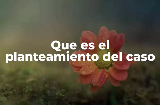 Que es el Planteamiento Del Caso