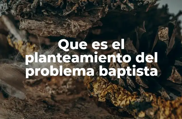 Que es el Planteamiento Del Problema Baptista