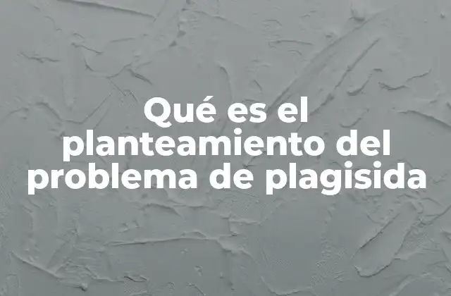 Qué es el Planteamiento Del Problema de Plagisida