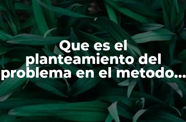 Que es el Planteamiento Del Problema en el Metodo Quimica
