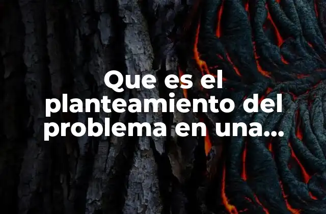 Que es el Planteamiento Del Problema en una Practica