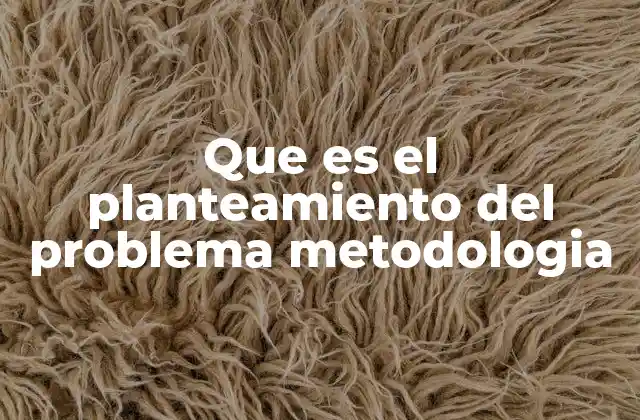 Que es el Planteamiento Del Problema Metodologia