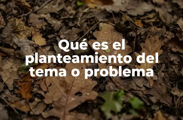 Qué es el Planteamiento Del Tema o Problema