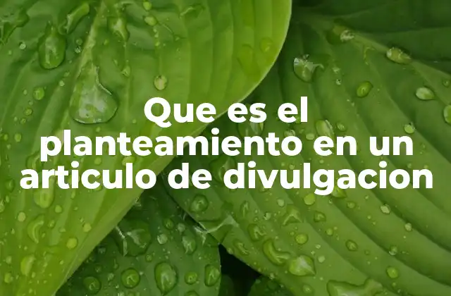 Que es el Planteamiento en un Articulo de Divulgacion