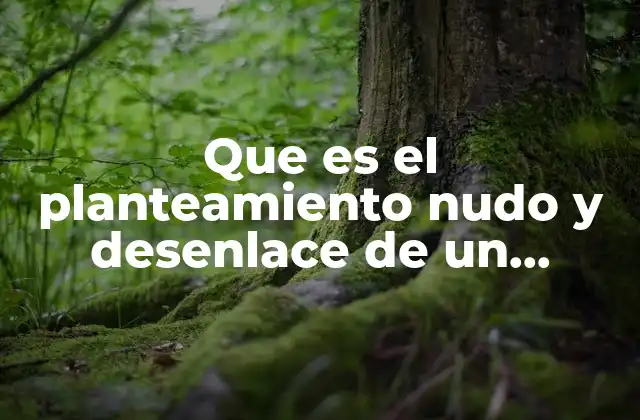 Que es el Planteamiento Nudo y Desenlace de un Cuento