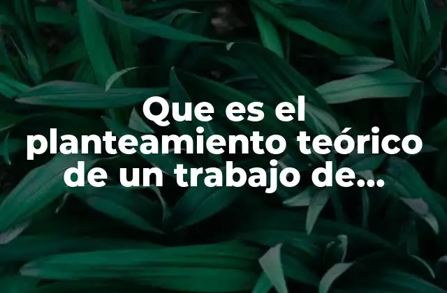 Que es el Planteamiento Teórico de un Trabajo de Investigación