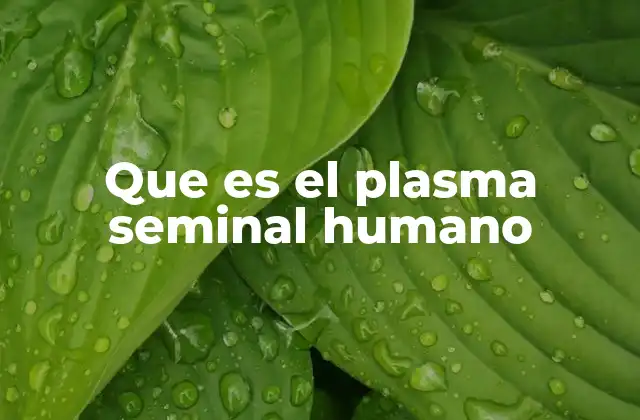 Que es el Plasma Seminal Humano