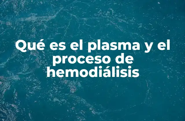Qué es el Plasma y el Proceso de Hemodiálisis