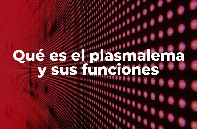 Qué es el Plasmalema y Sus Funciones