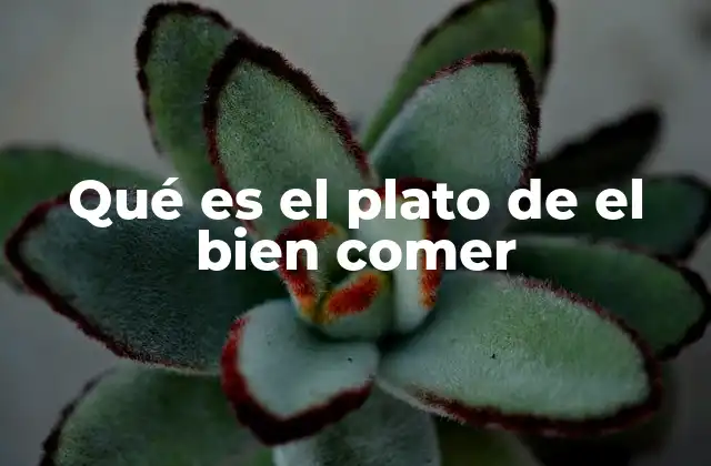 Qué es el Plato de el Bien Comer