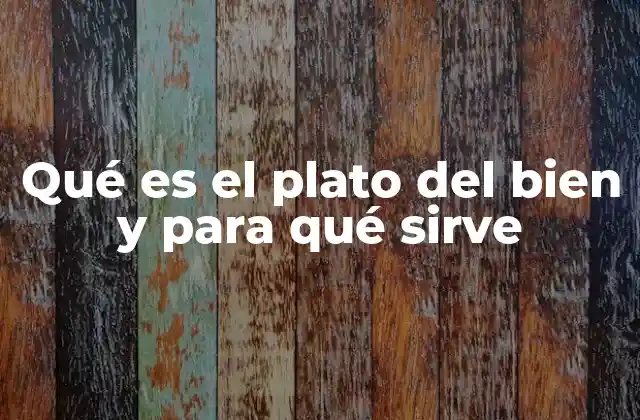 Qué es el Plato Del Bien y para Qué Sirve