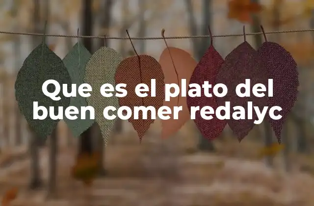 Que es el Plato Del Buen Comer Redalyc
