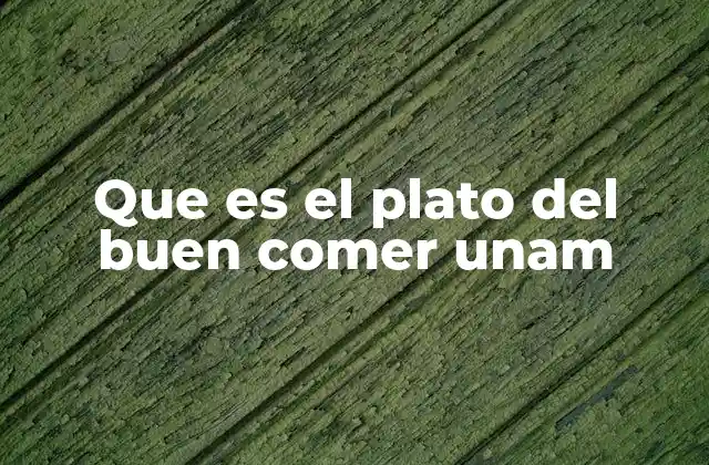 Que es el Plato Del Buen Comer Unam