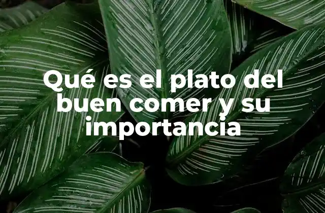 Qué es el Plato Del Buen Comer y Su Importancia 2 Cómo el plato del buen comer promueve una vida saludable