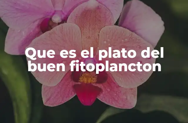 Que es el Plato Del Buen Fitoplancton