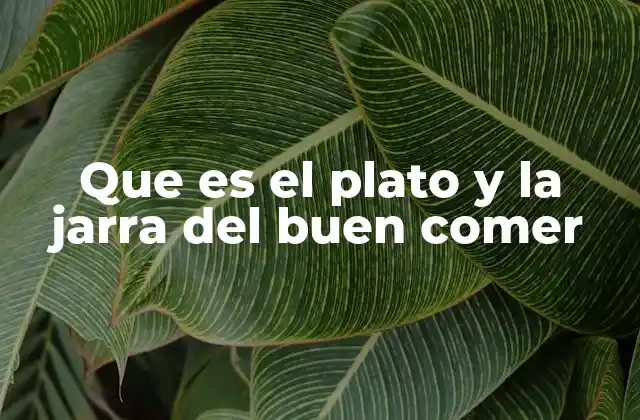 Que es el Plato y la Jarra Del Buen Comer