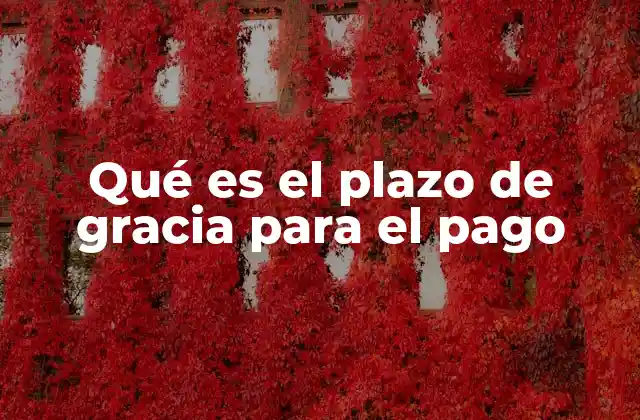 Qué es el Plazo de Gracia para el Pago