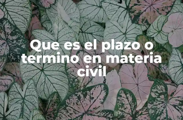 Que es el Plazo o Termino en Materia Civil