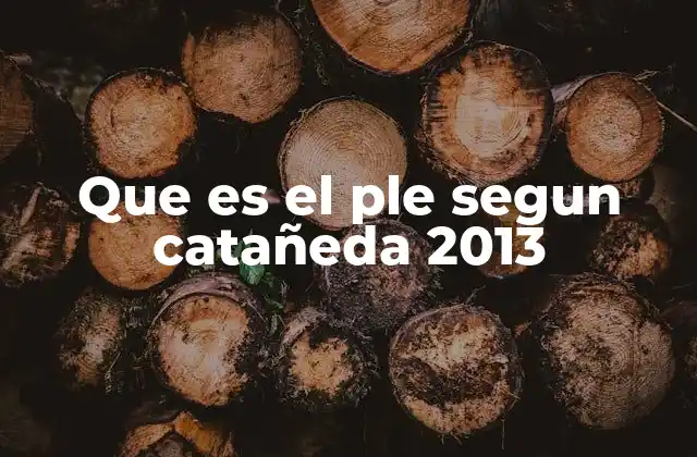 Que es el Ple Segun Catañeda 2013 2 La importancia del PLE en el equilibrio de poderes