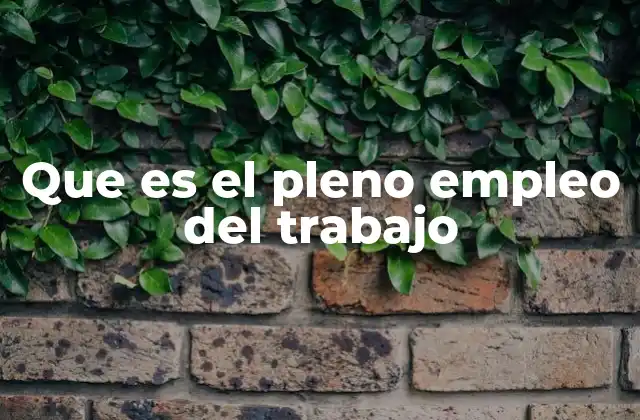 Que es el Pleno Empleo Del Trabajo