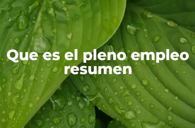 Que es el Pleno Empleo Resumen