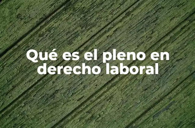 Qué es el Pleno en Derecho Laboral
