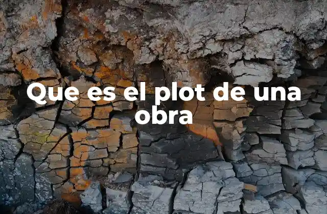 Que es el Plot de una Obra