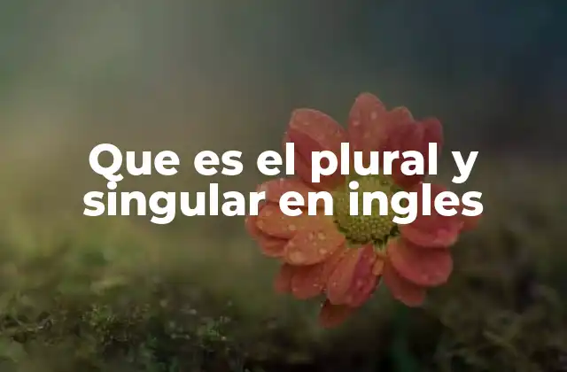 Que es el Plural y Singular en Ingles 2 La importancia de entender la diferencia entre singular y plural en la comunicación efectiva