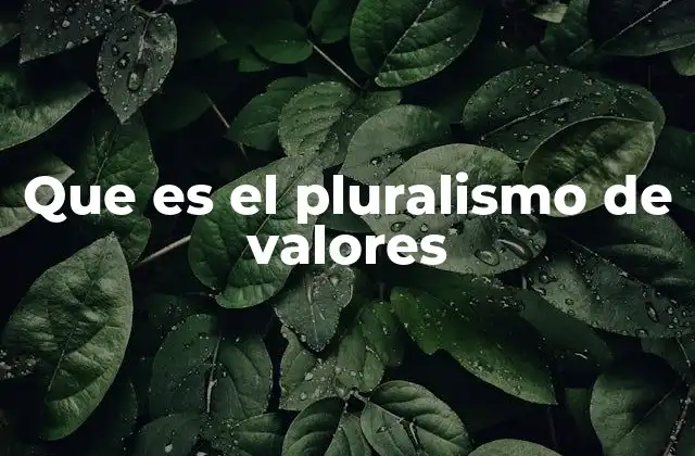 Que es el Pluralismo de Valores