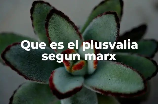Que es el Plusvalia Segun Marx