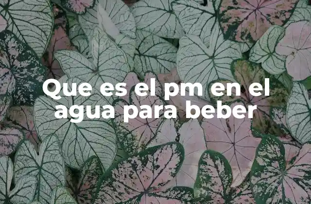 Que es el Pm en el Agua para Beber