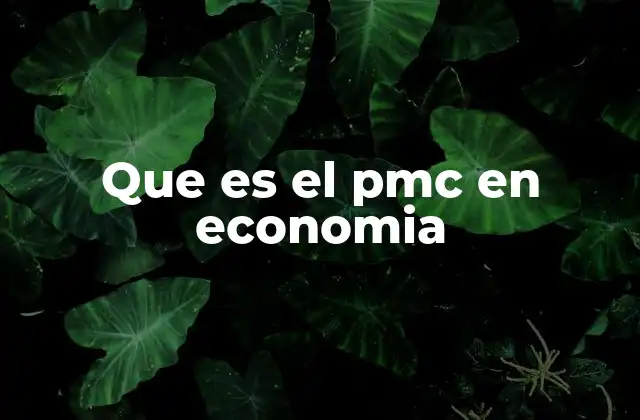 El rol del PMC en el análisis económico