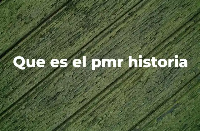 Que es el Pmr Historia