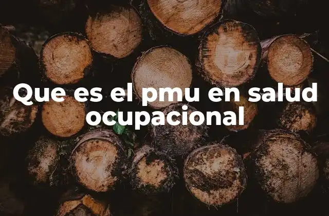 Que es el Pmu en Salud Ocupacional