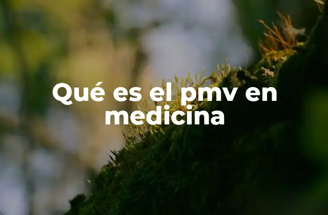 Qué es el Pmv en Medicina 2 El papel del PMV en la evaluación hemodinámica