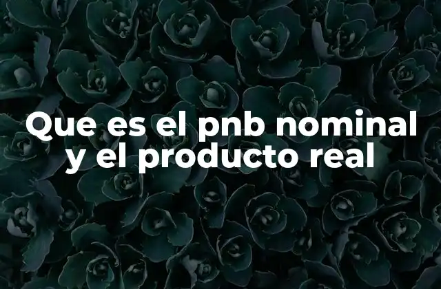 Que es el Pnb Nominal y el Producto Real