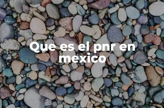 Que es el Pnr en Mexico