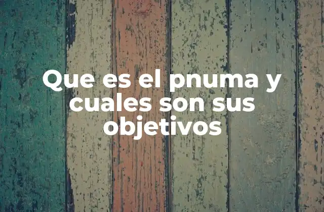 Que es el Pnuma y Cuales Son Sus Objetivos