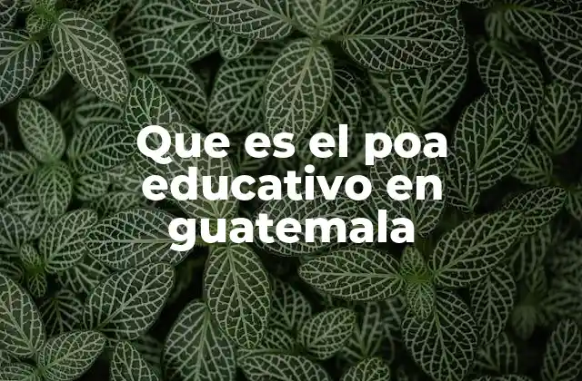 Que es el Poa Educativo en Guatemala