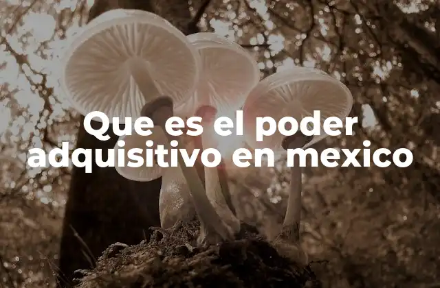 Que es el Poder Adquisitivo en Mexico