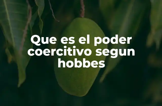 Que es el Poder Coercitivo Segun Hobbes