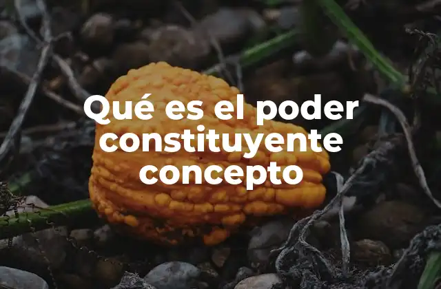 Qué es el Poder Constituyente Concepto