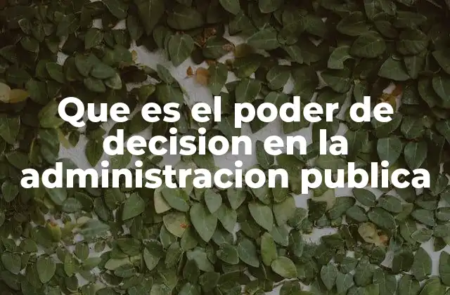 Que es el Poder de Decision en la Administracion Publica