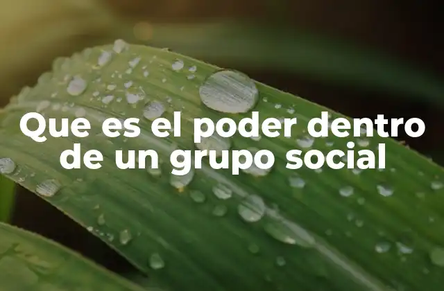 Que es el Poder Dentro de un Grupo Social