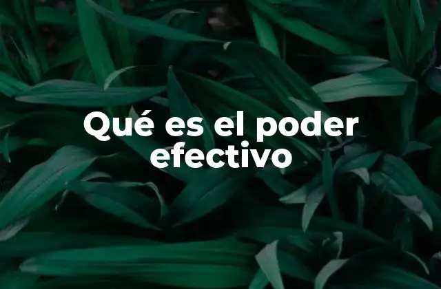 Qué es el Poder Efectivo