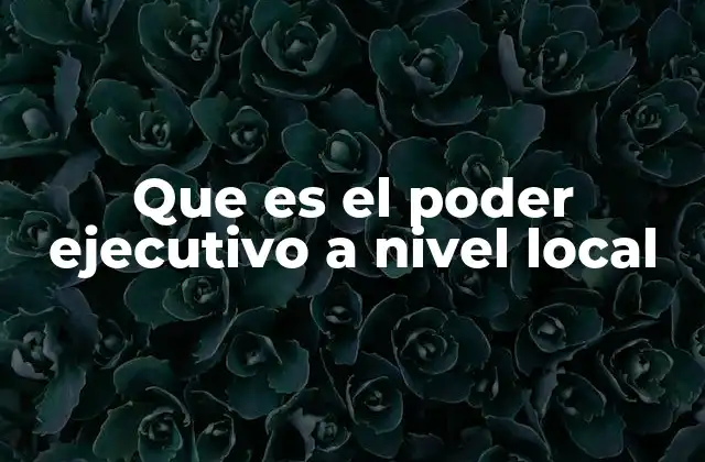 Que es el Poder Ejecutivo a Nivel Local