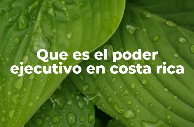 Que es el Poder Ejecutivo en Costa Rica 2 Estructura del gobierno y sus responsabilidades