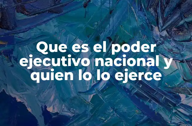 Que es el Poder Ejecutivo Nacional y Quien Lo Lo Ejerce