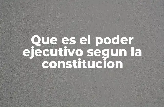 Que es el Poder Ejecutivo Segun la Constitucion 2 El rol del poder ejecutivo en la organización del Estado