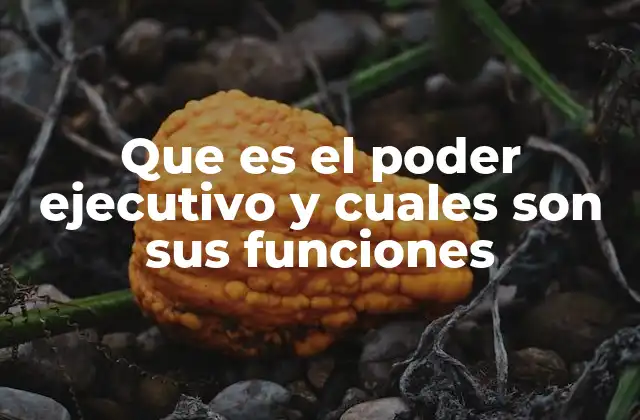 La estructura y funcionamiento del gobierno ejecutivo